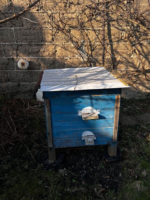 Sprzedam ule używane