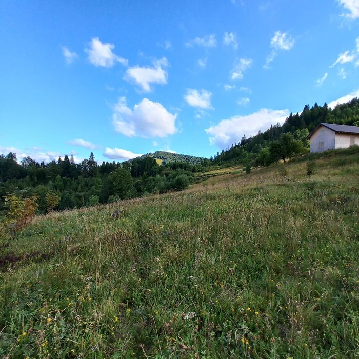 Продається земельна ділянка для ведення садівництва