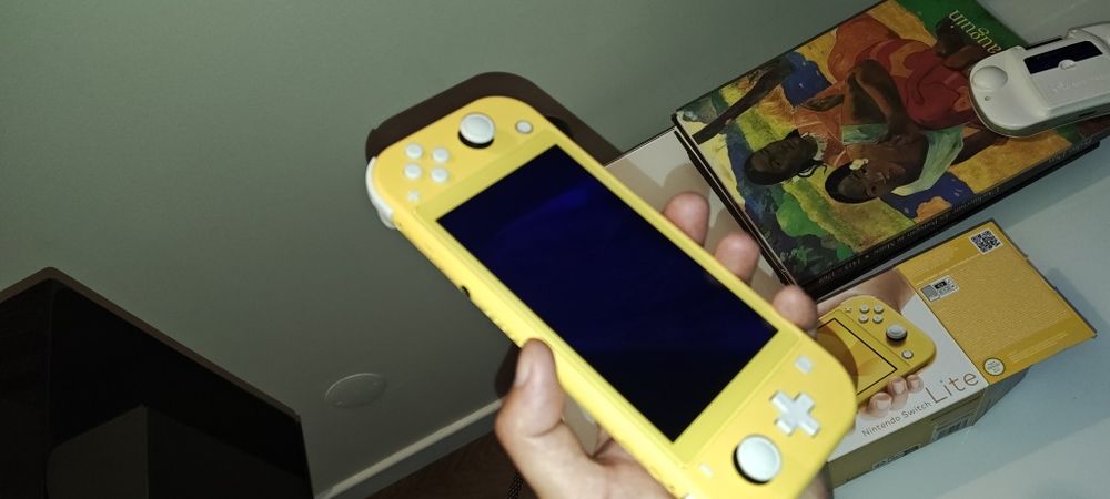 Nintendo Switch Lite desbloqueada