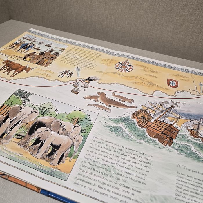 Livro  A Viagem de Vasco da Gama