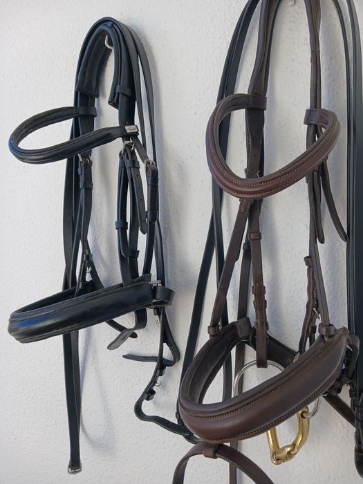 Vendo este material equestre