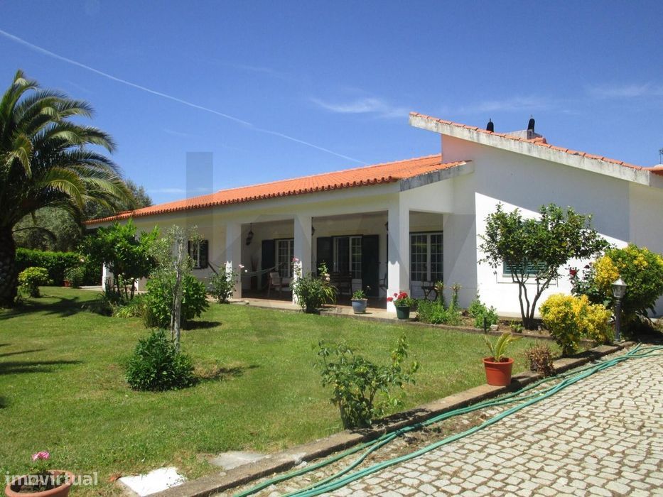 Fantástica Moradia em Chacim, Macedo de Cavaleiros, com Terreno e Oliv