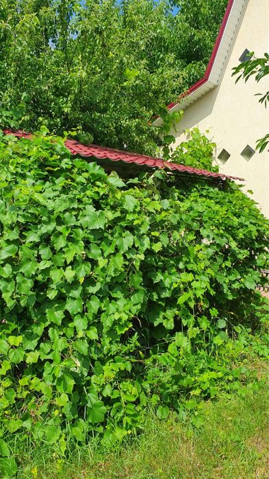 Продам свою дачу с дровяной печью  Рай-Еленовка