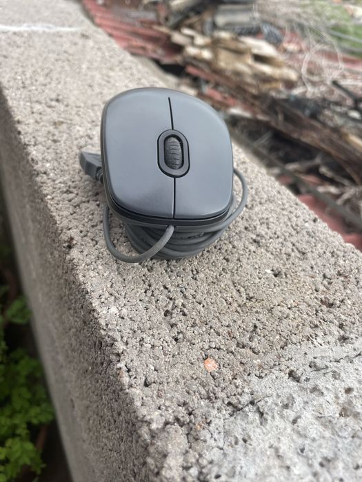 Mouse Logitech M100