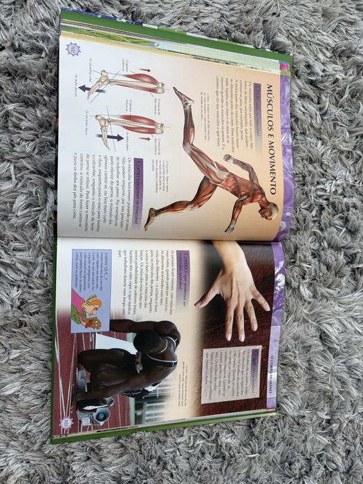 A Enciclopédia do conhecimento