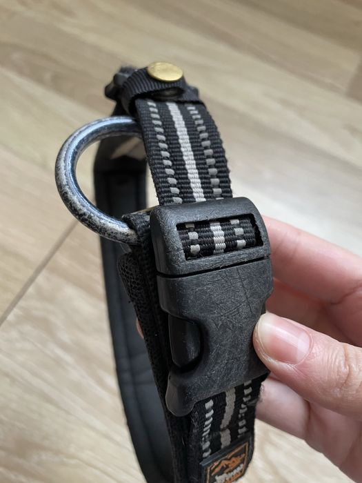 Нашийник для собаки