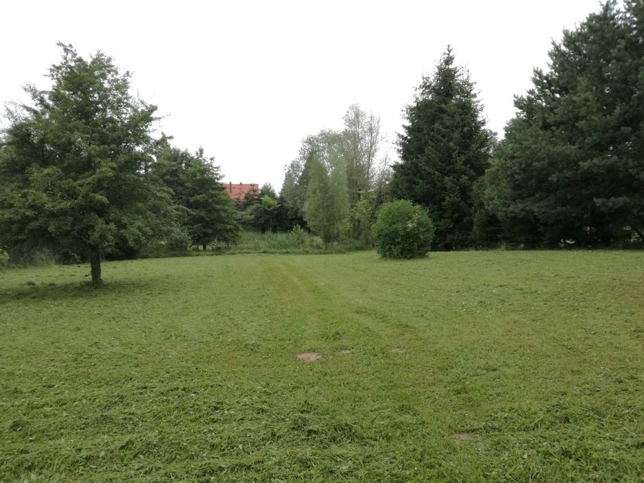 działka rekreacyjna na Mazurach - Widok 4