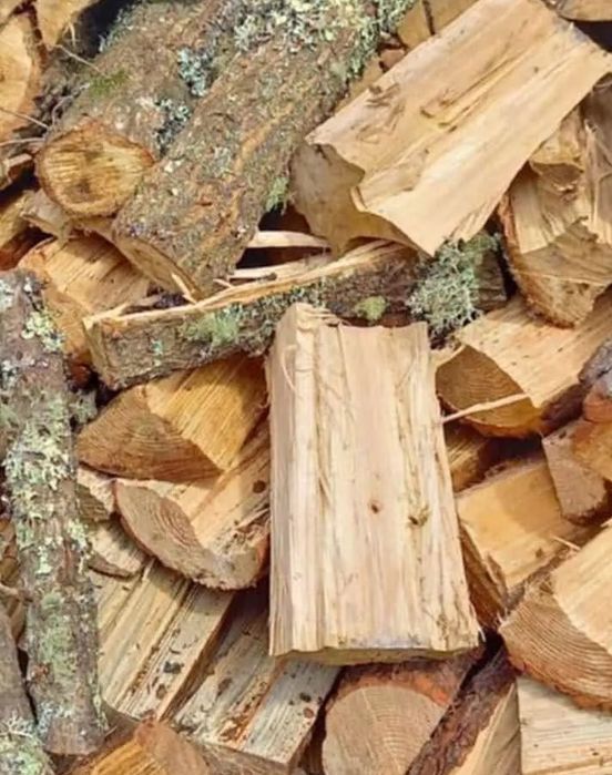 Vendo lenha seca