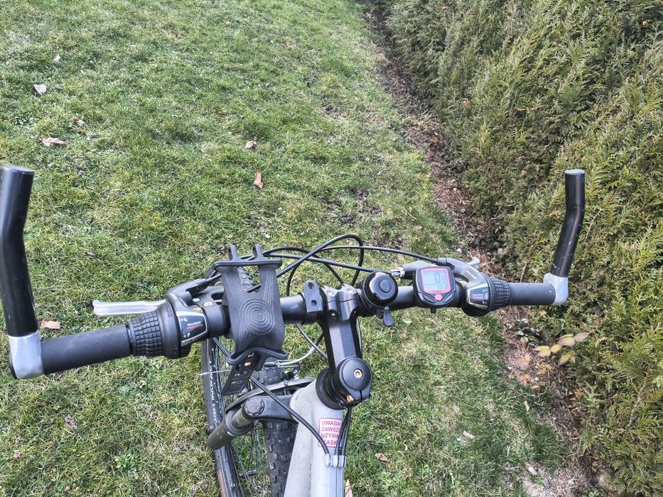 Rower 29 cali TeamRaider