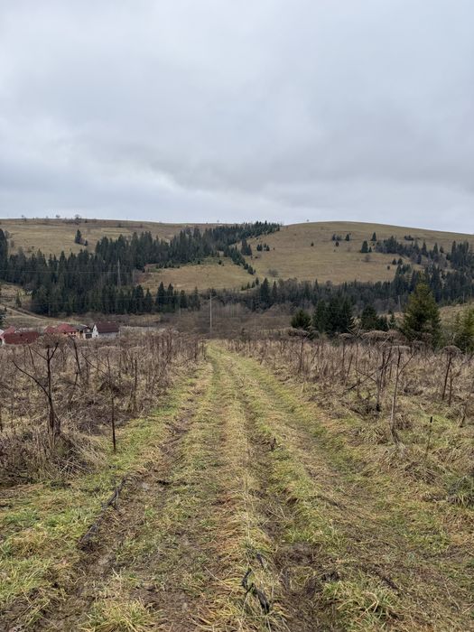 Продається ділянка у с. Пилипець