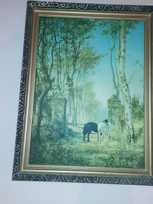 Картина в рамке 58Х76 см