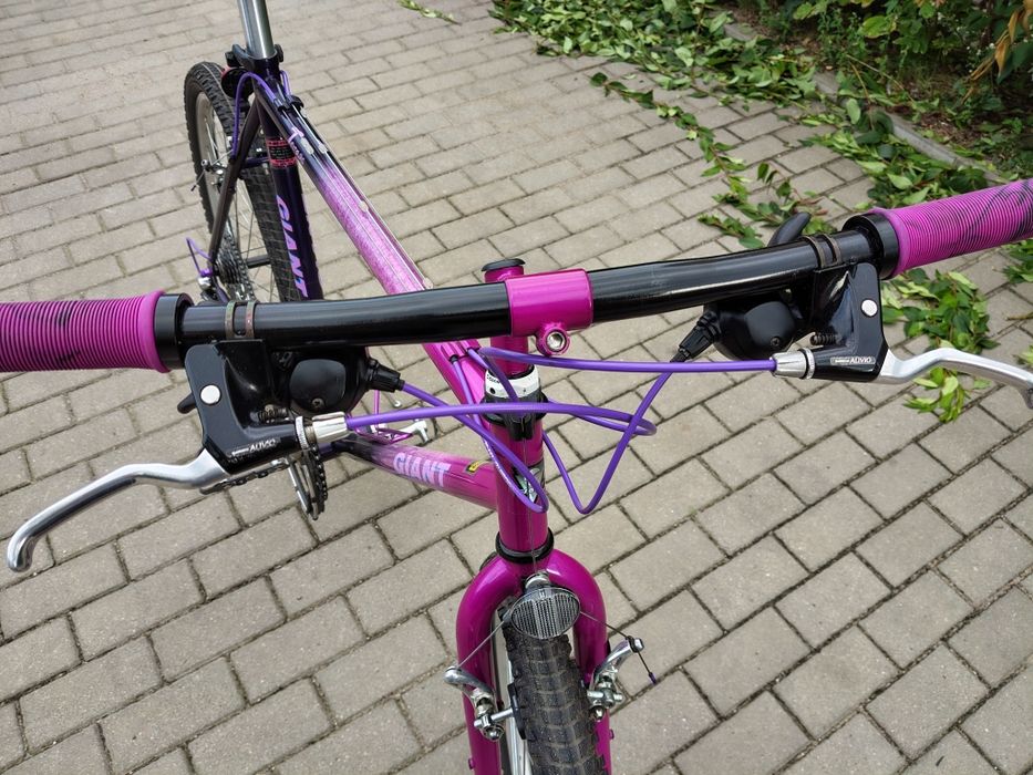 Giant Terrago retro MTB