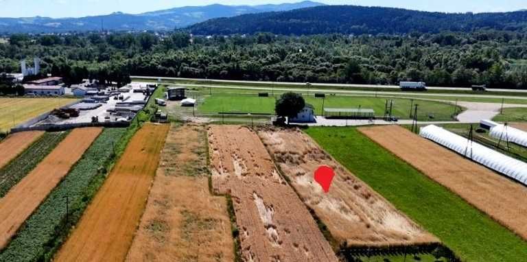 Okazja - do sprzedania działka  w Podegrodziu 8,5 tys /ar