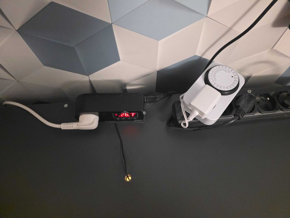 Gotowe terrarium 90x55x50cm + 2 Gekony Lamparcie samiczki