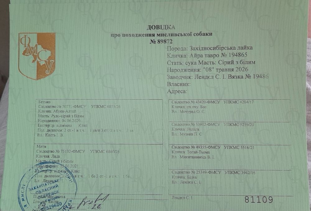 Західно-сибірська лайка