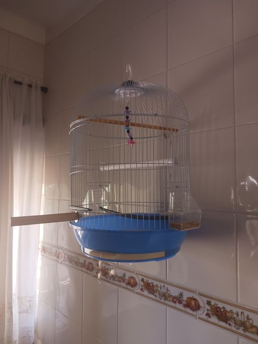 Gaiola redonda para aves