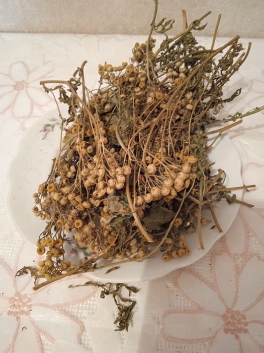 Крапива,бузина цветы,шалфей,хвостики гарбузов