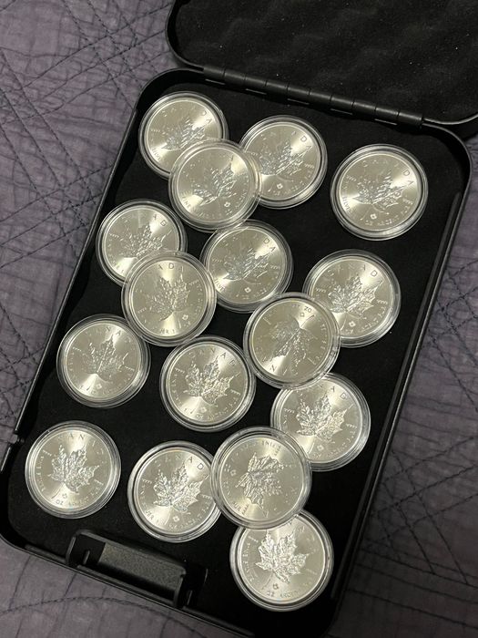 Gold Bars and Silver Coins