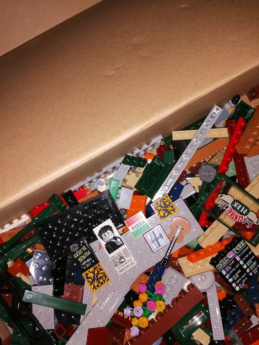 Lego friends 21319 novo