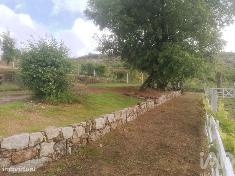 Terreno em Oliveira do Hospital e São Paio de Gramaços