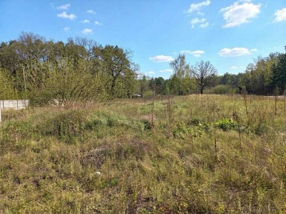 Продаж фасадної ділянки 10 соток під забудову. Комунікації поруч. ID:746 - View 5