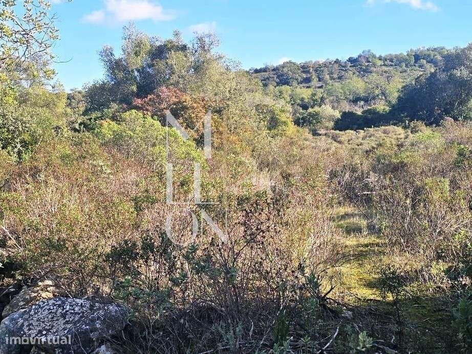 Terreno rústico com 4.000 m2 – Excelente oportunidade