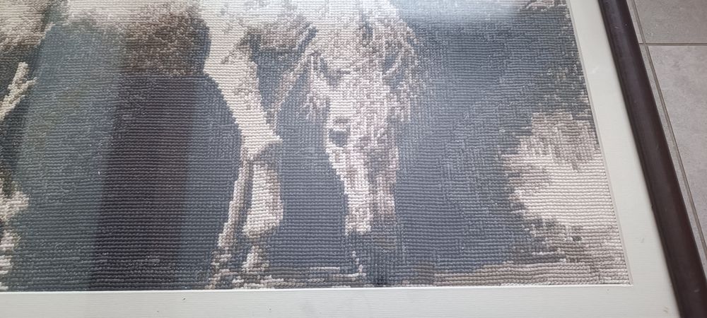 Obraz haft krzyżykowy koń 40x 58