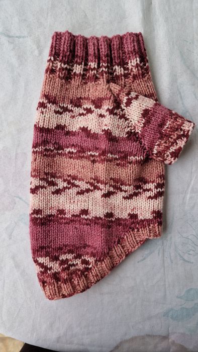 Одежда для собак.