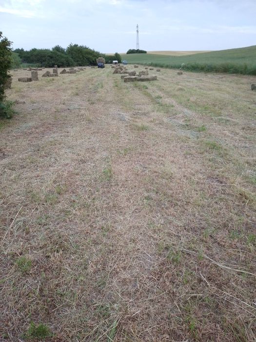 Продам сіно і солому в тюках