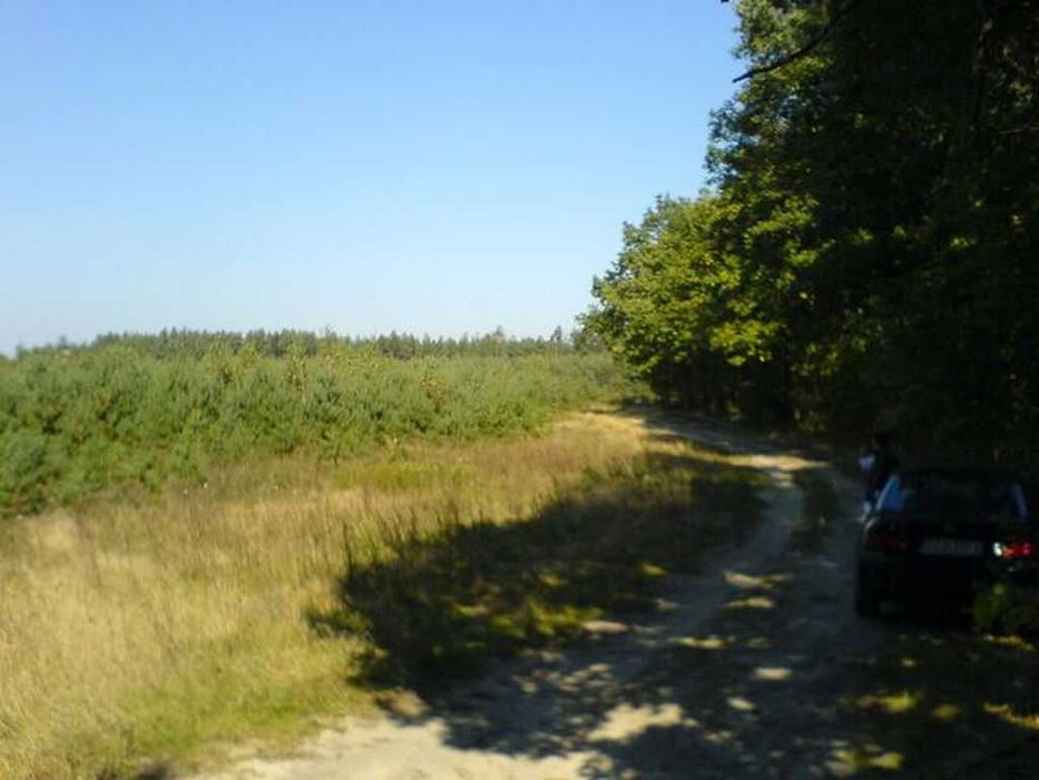 Zdjęcie 3