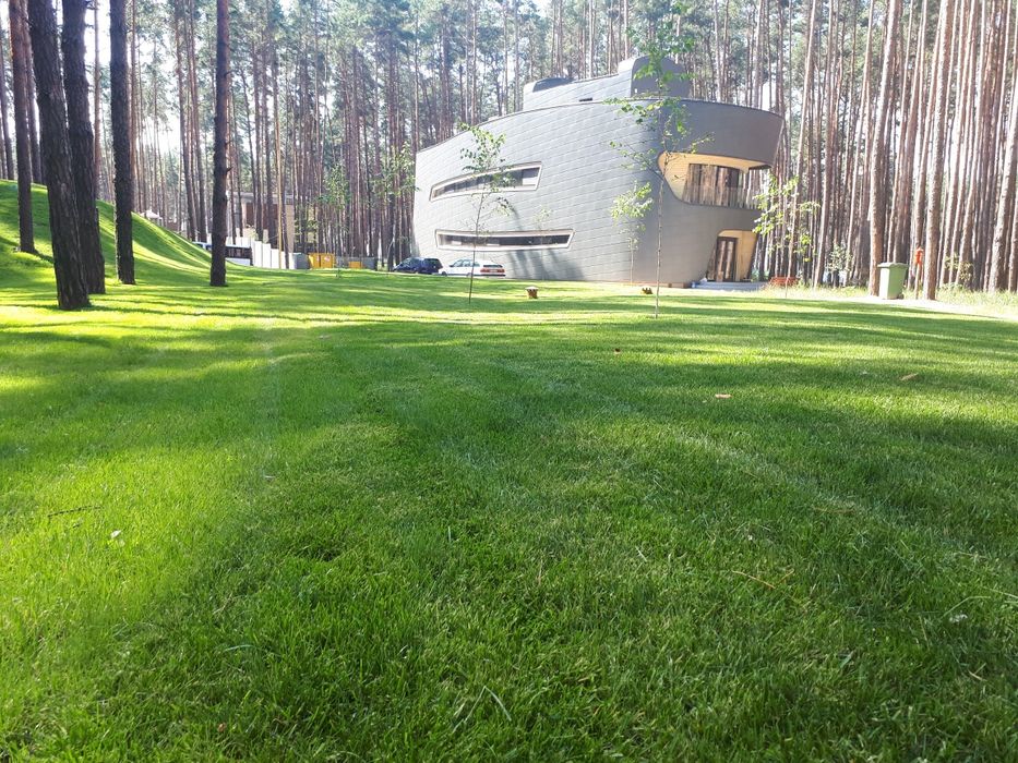 Посівний та рулоний газон