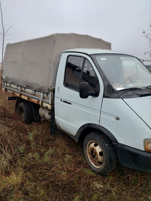 Газель тентована