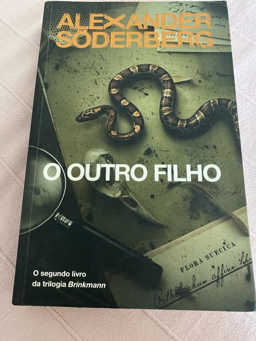O outro filho de Alexander Söderberg