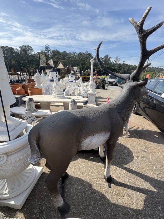 Renas Fibra de Vidro Tamanho Real Decoração!