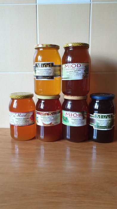 Miód z pasieki Natura 2000. Nektarowo-spadziowy, leśny, spadziowy