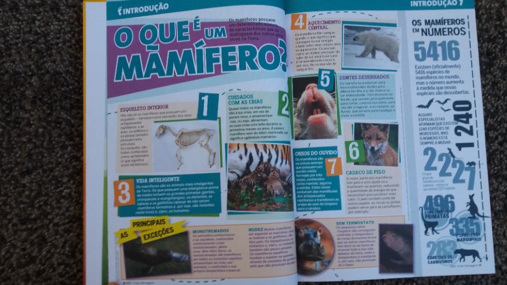NOVO O Grande Livro dos Mamíferos - BBC Vida Selvagem