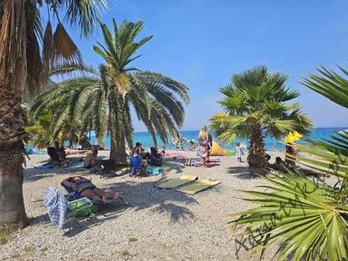 80 m do plaży! Chorwacja Trpanj Pelješac Apartamenty Noclegi Kwatery