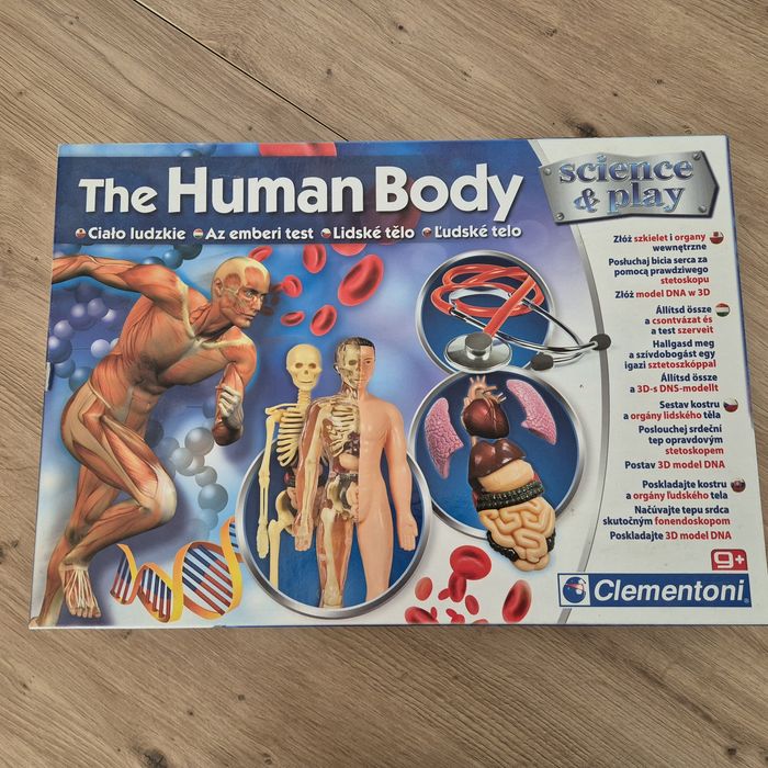 Ciało ludzkie zabawka edukacyjna dla dzieci DNA budowa ciała +grts