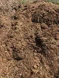 Metro cúbico, Estrume de Cavalo