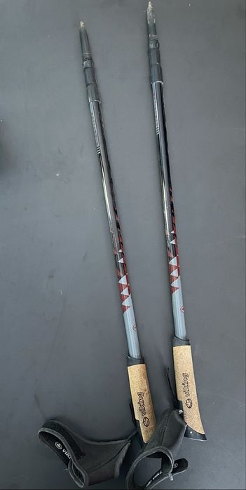 Kije trekkingowe Viking Anti Shock 2 szt. regulowane