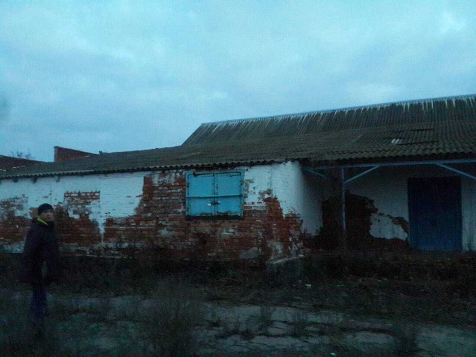 Будівлі харчового виробництва