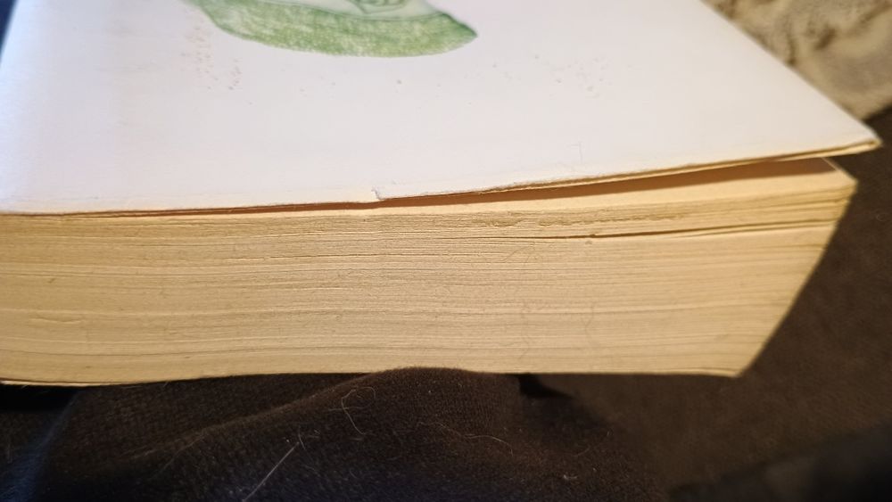 Rozważna i romantyczna-Jane Austen