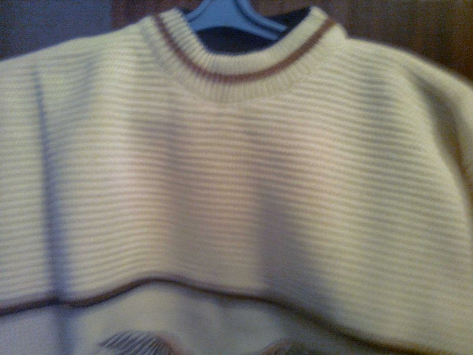 Чоловічий светр з орлом.