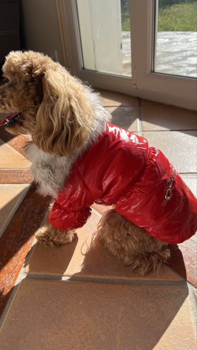 Зимняя курточка на меху для хвостика