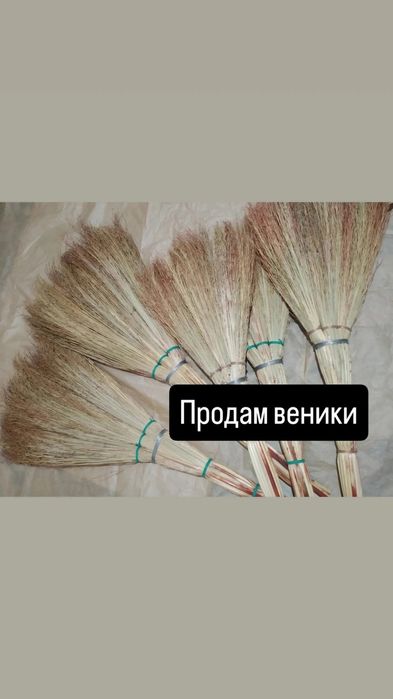 Продам веники сорго
