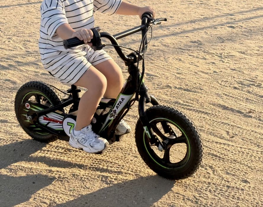 Bicicleta Elétrica Infantil 250W – Excelente estado