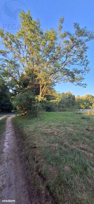 Działka Budowlana Szumiąca, Super inwestycja