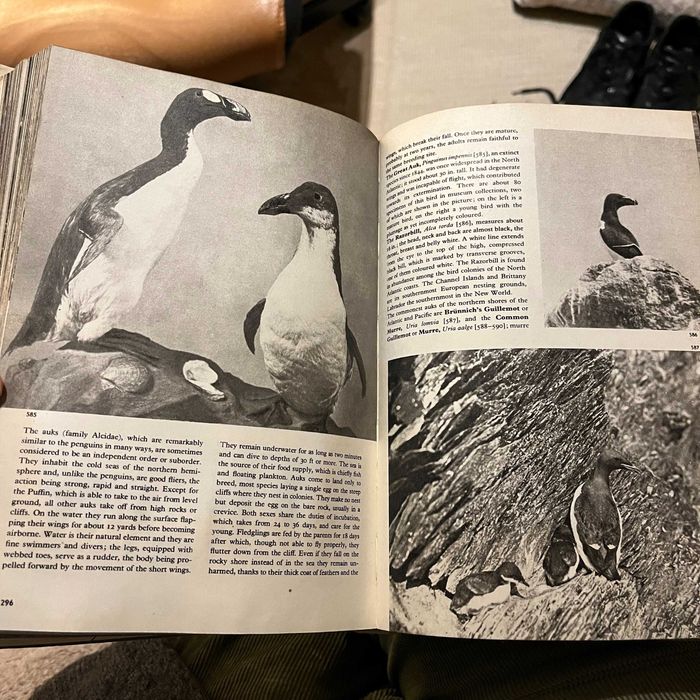 The Pictorial Encyclopedia of Birds