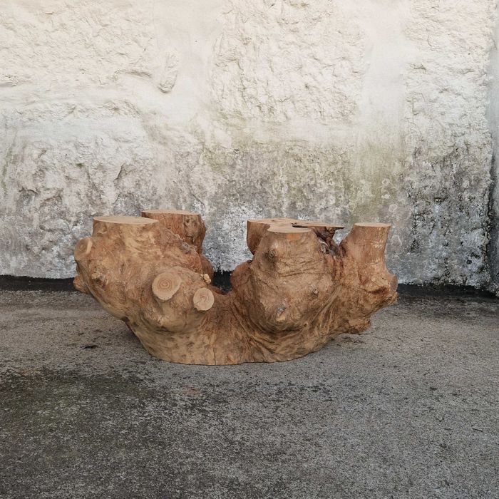 Freixo Maciço, Mesa de centro natural, Pedaço de madeira