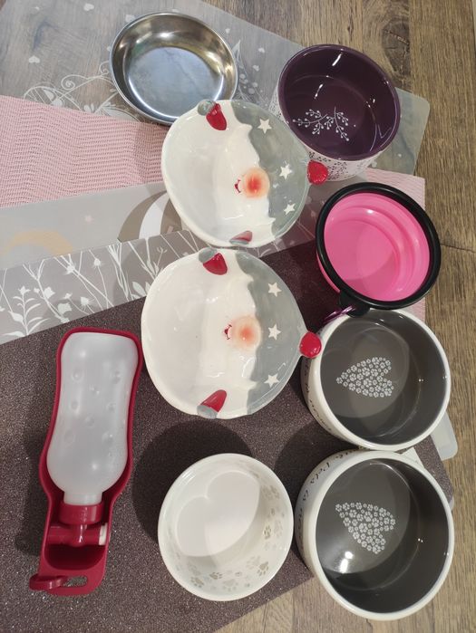 Одяг для собачки